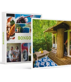 Online 2 dagen in een boomhut nabij Amsterdam, incl. ontbijt en bierpakket - Overnachten Geschenken