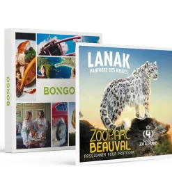 Sale 2 dagen in het Franse ZooParc de Beauval in 2025 voor 2 personen - Actie Geschenken