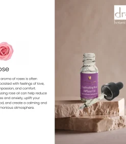 Hot Betoverende Rozen Diffuser Olie 10ml Huisparfums