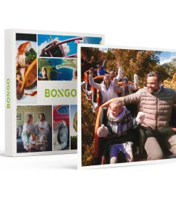 Online Dagje Bellewaerde Kerst voor 1 persoon - Actie Geschenken