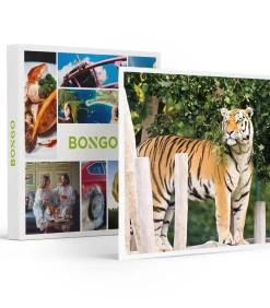 Discount Dagje Bellewaerde voor 1 persoon - Actie Geschenken