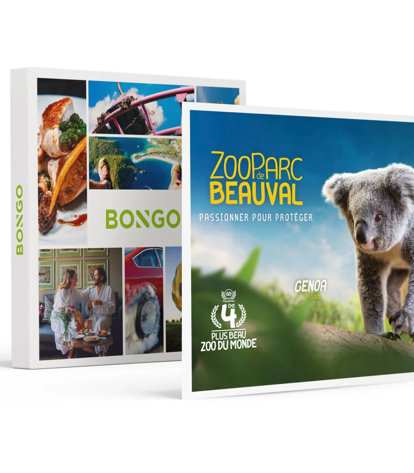 Best Dagje in het Franse ZooParc de Beauval in 2025 voor 1 persoon - Actie Geschenken