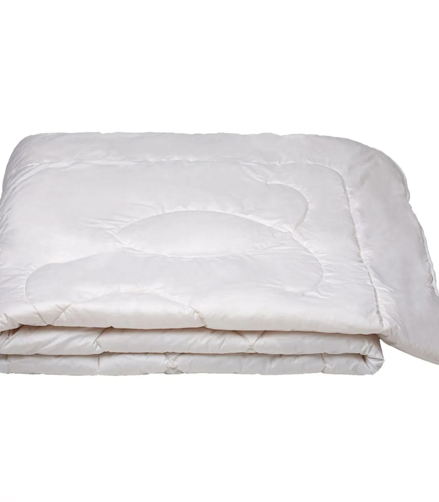 Sale Delphes dekbed Dekbedden