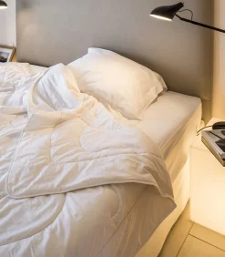 Sale Delphes dekbed Dekbedden