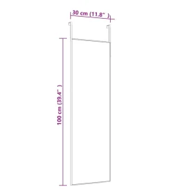 Discount Deurspiegel 30x100 cm glas en aluminium goudkleurig Spiegels