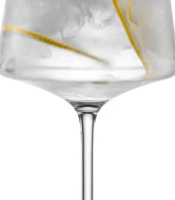 Echo Set 4 Longdrink 79 Glazen & Karaffen