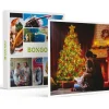 Hot Een wonderlijke kerst: 1 belevenis voor 1 of 2 personen - Specials Geschenken