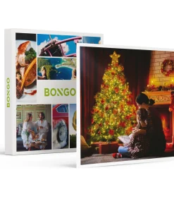 Hot Een wonderlijke kerst: 1 belevenis voor 1 of 2 personen - Specials Geschenken