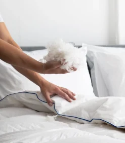 Hot - Zacht Halfdons Hoofdkussen - Set van 2 stuks Kussens