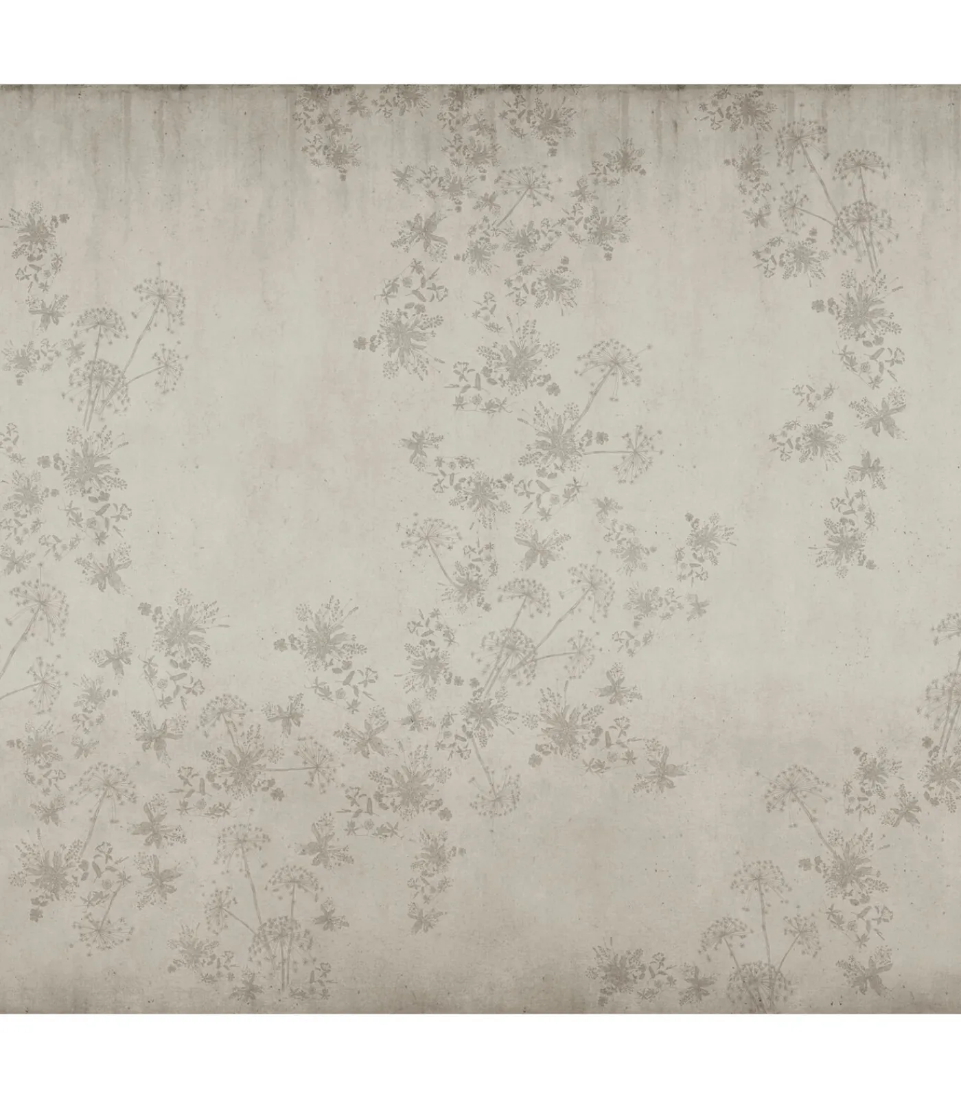 Discount Fotobehang Wild Flower Concrete Wanddecoratie