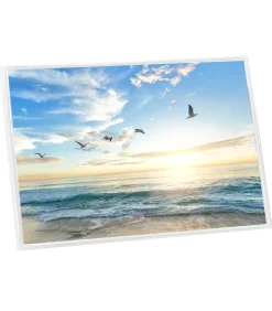 Best Fotolijsten 5 st voor tafel 21x29,7 cm MDF wit Fotolijsten