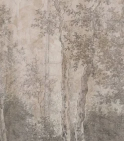 Sale Fototapete Birkenbume Wanddecoratie