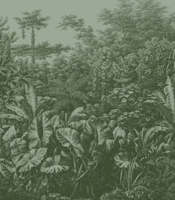 Discount Fototapete Regenwald Wanddecoratie