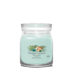 Geurkaars Aloe & Agave Signature Medium Jar Kaarsen & Kaarshouders