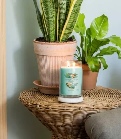 Hot Geurkaars Aloe & Agave Signature Large Jar Kaarsen & Kaarshouders