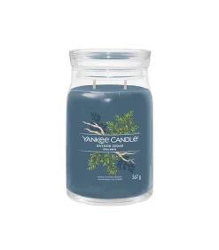 Best Geurkaars Bayside Cedar Signature Large Jar Kaarsen & Kaarshouders