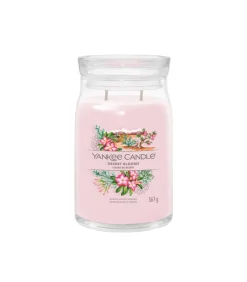Outlet Geurkaars Desert Blooms Signature Large Jar Kaarsen & Kaarshouders