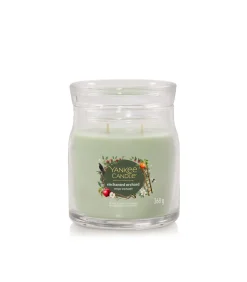 Online Geurkaars Enchanted Orchard Signature Medium Jar Kaarsen & Kaarshouders