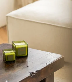 Hot Geurkaars 220g Forest Gallery Kaarsen & Kaarshouders