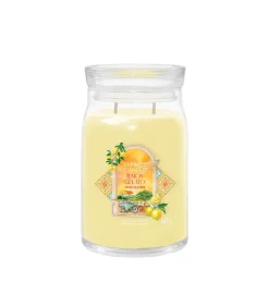 Discount Geurkaars Lemon Gelato Signature Large Jar Kaarsen & Kaarshouders