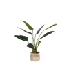 Outlet Kunstplant Strelitzia 70x70x100 cm Decoratie
