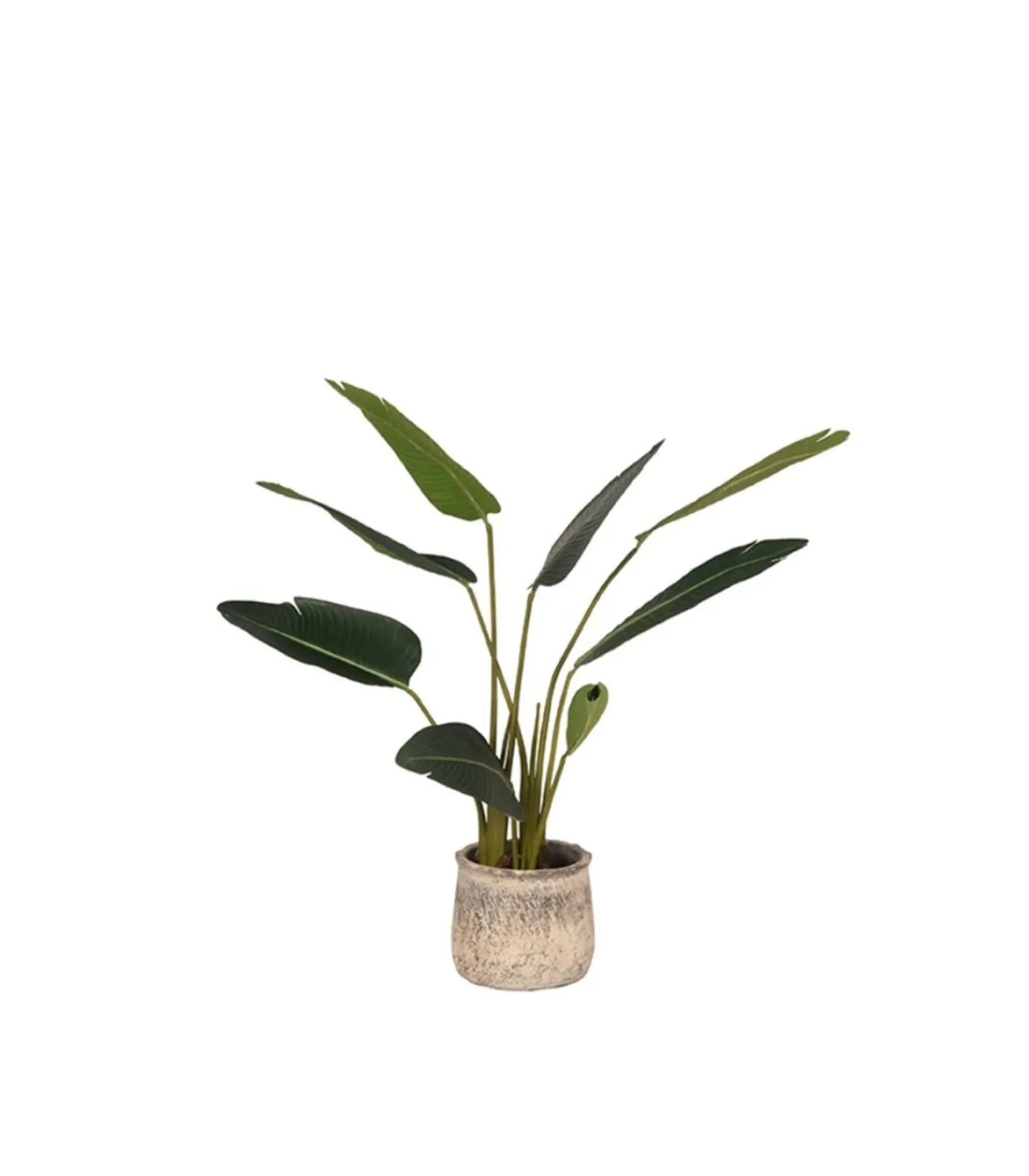 Outlet Kunstplant Strelitzia 70x70x100 cm Decoratie