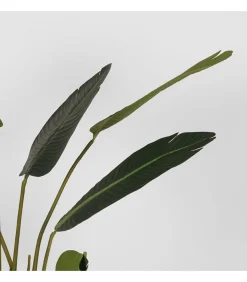 Outlet Kunstplant Strelitzia 70x70x100 cm Decoratie