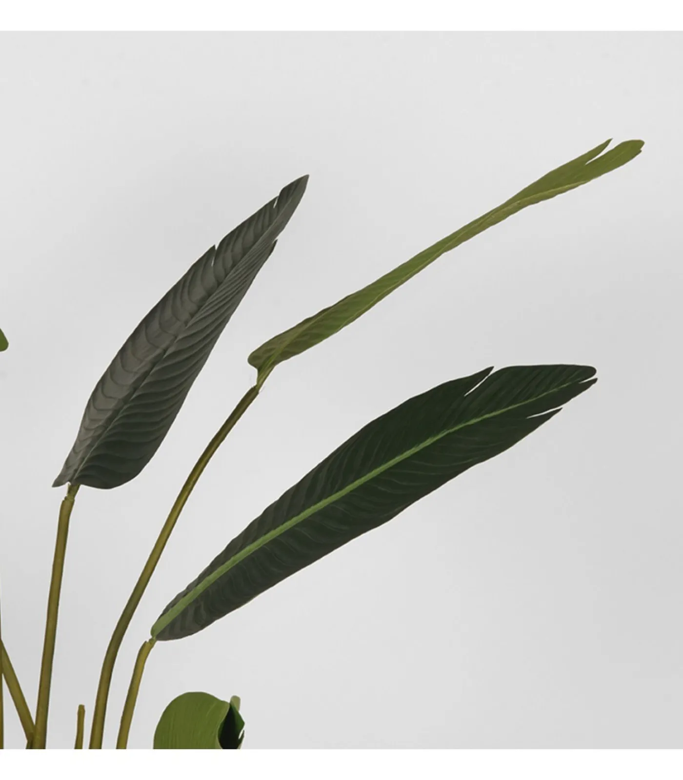 Outlet Kunstplant Strelitzia 70x70x100 cm Decoratie