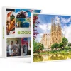 Sale Rondleiding door de Sagrada Familia - Actie Geschenken