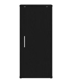 Online Schoenenkasten 32x35x70 cm spaanplaat 2 st zwart eikenkleurig Organiseren