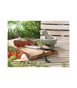 Set steakmessen BASCO, 4 stuks in hoogwaardige dennenhouten box Bestek