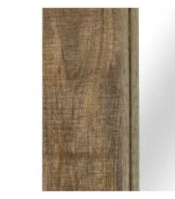 Spiegel 50x80 cm massief mangohout Spiegels