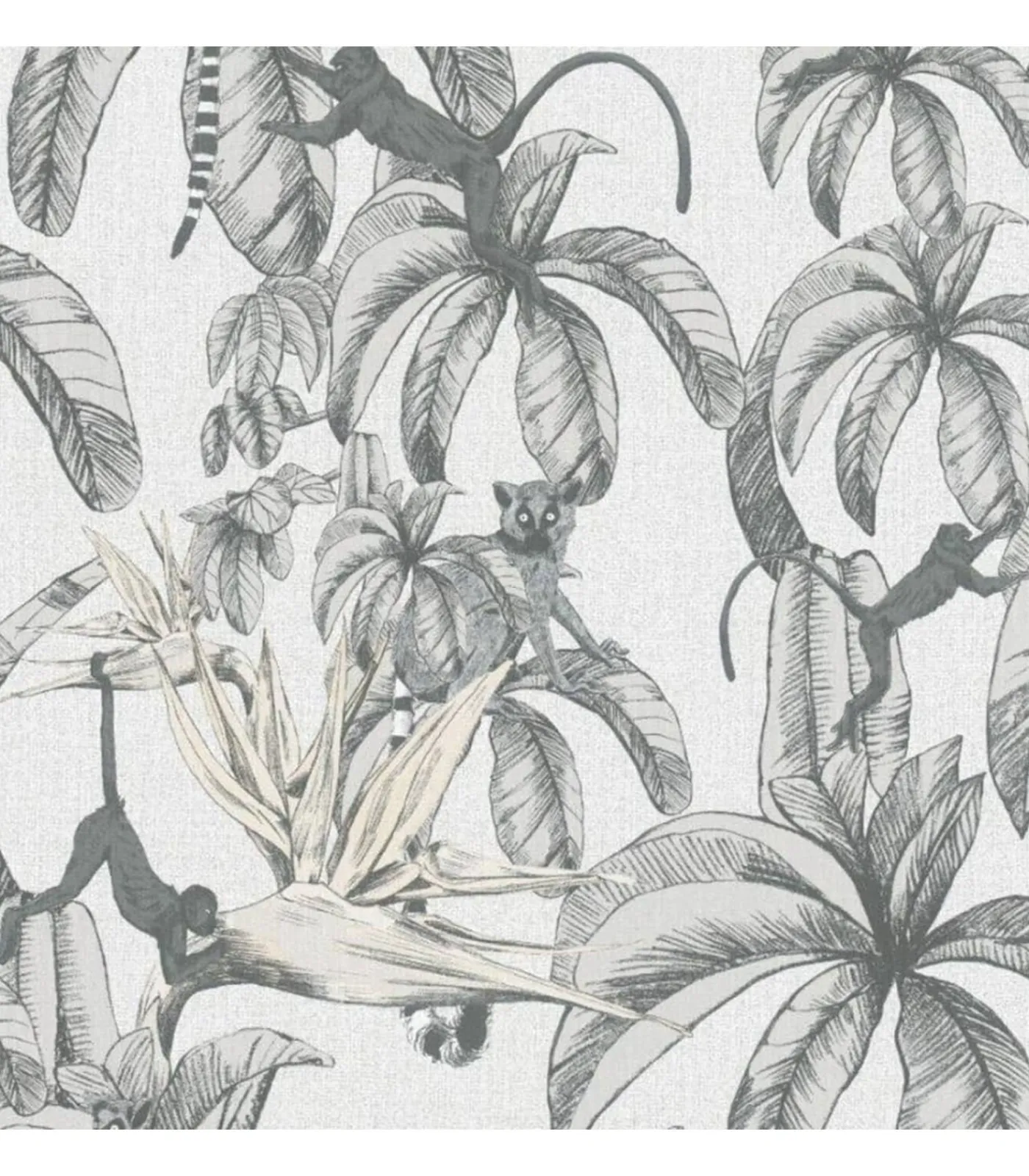 New Topchic Behang Monkey Jungle Leaves grijs en zwart Decoratie