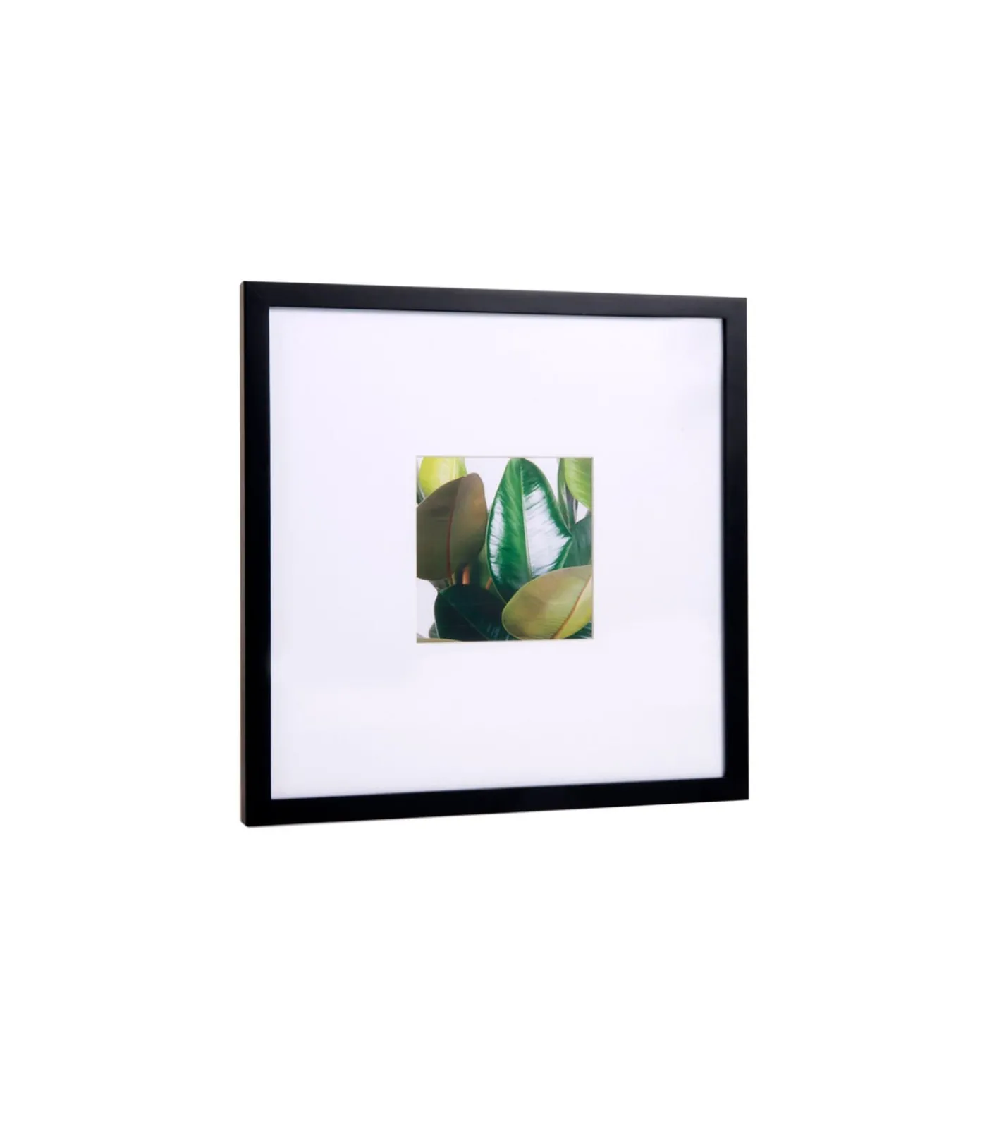 Hot VITRO Fotokader 13 x 13 Fotolijsten