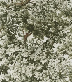 Best Vliesbehang Coppice Sage Wanddecoratie