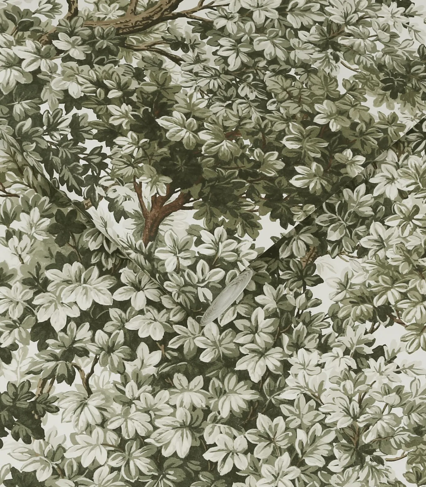 Best Vliesbehang Coppice Sage Wanddecoratie