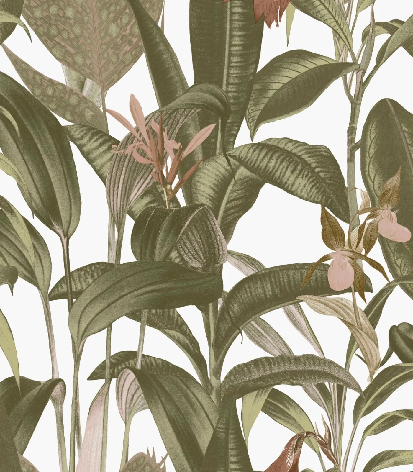 Vliestapete Tropische Bltter Wei Wanddecoratie