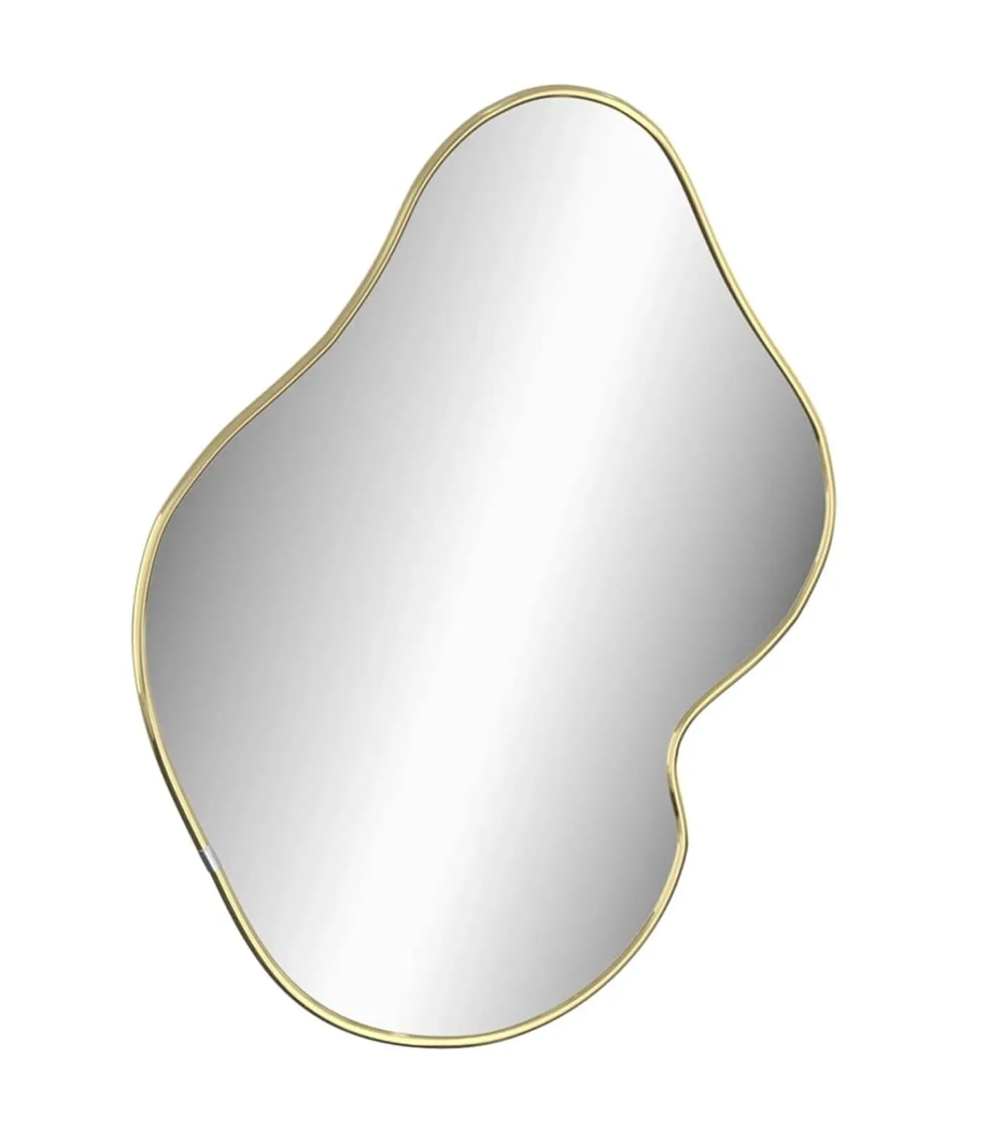 Discount Wandspiegel 60x50 cm goudkleurig Spiegels