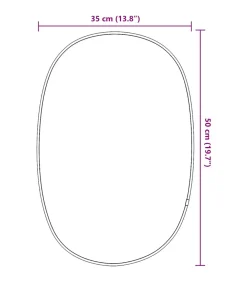 Hot Wandspiegel 50x35 cm zwart Spiegels