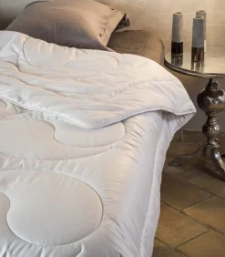 Sale Zijden dekbed 250 Dekbedden